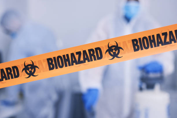 Professional Odor Removal technician working in Holtsville, NY